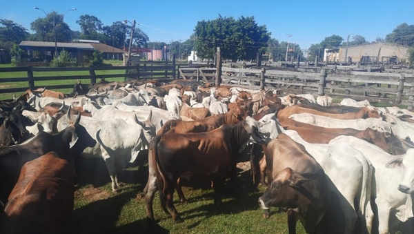 Asaltan una estancia en Paso Barreto