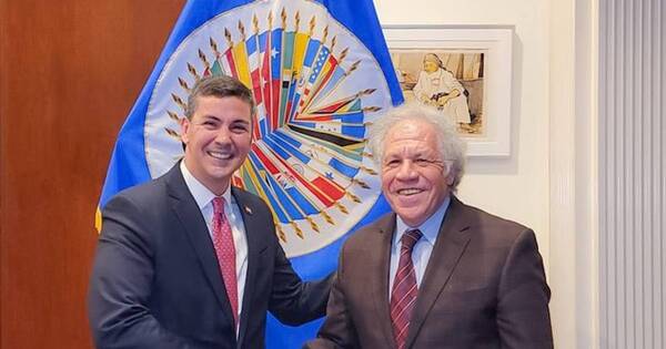 La Nación / Peña recibe apoyo pleno de la OEA como presidente electo