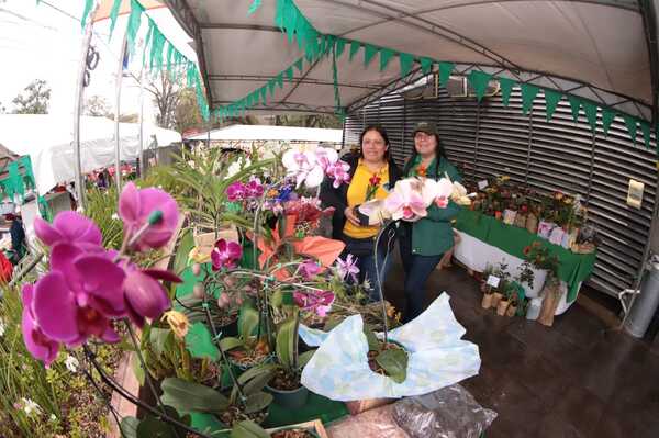 Feria agropecuaria, de plantas y flores los miércoles y jueves en el Shopping Multiplaza - .::Agencia IP::.