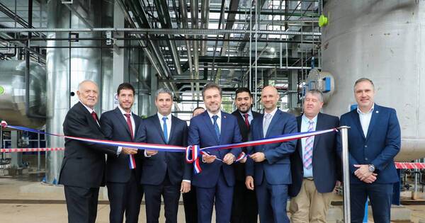 La Nación / A la creación de unos 600 empleos directos apunta la nueva planta de biodiésel Cremer Óleo