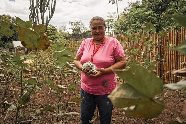 Artesanas de Yataity del Guairá cosechan su propio algodón - Nacionales - ABC Color
