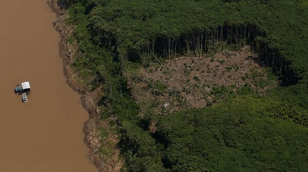 Encuentran ocho cadáveres en zona yanomami de Brasil