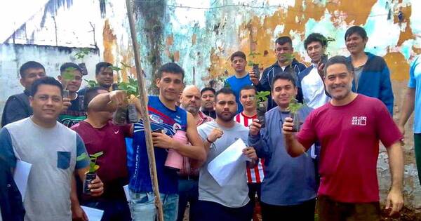 La Nación / Reos aprenden siembra de frutilla en penal Tacumbú