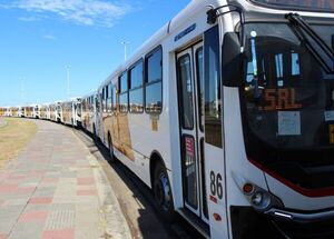 Diario HOY | Siete líneas de transporte llegarán hasta las oficinas de Gobierno