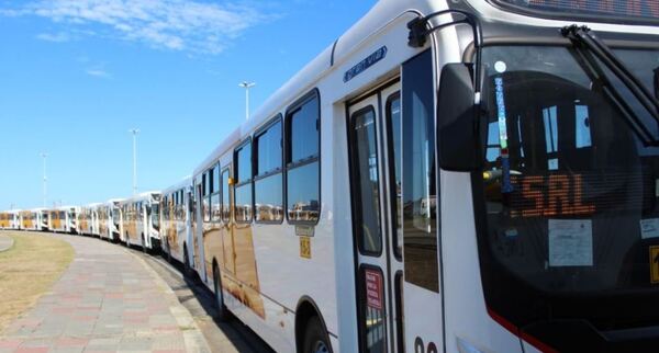 Siete empresas de transporte llegarán hasta las nuevas oficinas del Gobierno en una primera etapa