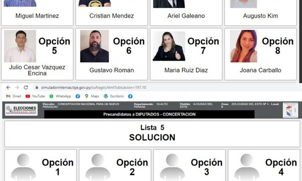 Miguel Martínez pugnó las internas en la Concertación y Cruzada Nacional