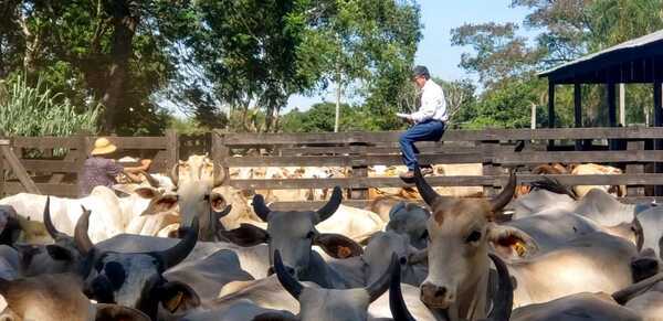 GAVILLA ASALTA ESTANCIA EN PASO BARRETO - La Voz del Norte