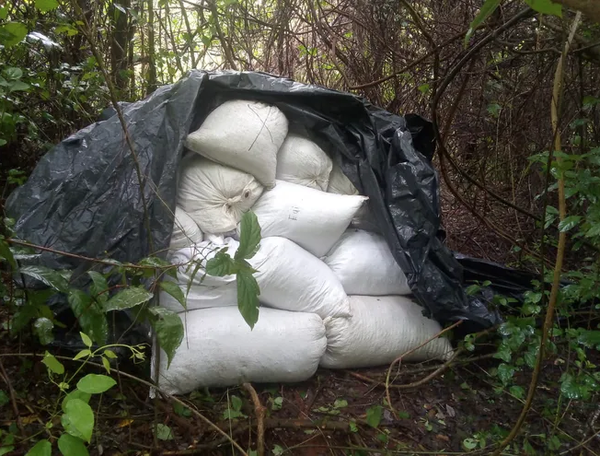 REPORTAN QUE HAN QUITADO DE CIRCULACIÓN UNOS 100.000 KILOS DE MARIHUANA - La Voz del Norte