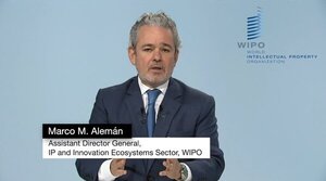 OMPI respalda a Paraguay en elaborar una herramienta que solucionará conflictos sobre propiedad intelectual - .::Agencia IP::.