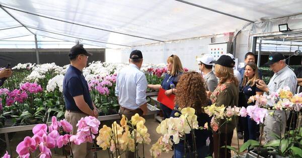 La Nación / Paraguay y Taiwán apuntan a fortalecer producción comercial de orquídeas en Cordillera