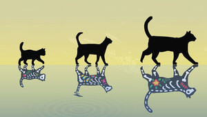 Diario HOY | El 'gato de Schrödinger' más pesado de la historia arroja nueva luz sobre computación cuántica