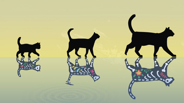 Diario HOY | El 'gato de Schrödinger' más pesado de la historia arroja nueva luz sobre computación cuántica