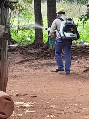 Ayolas: en abril se tuvo picos altos de casos de dengue y chikunguña - Nacionales - ABC Color