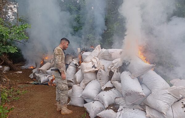 Destruyen más de 20 toneladas de marihuana en Concepción - Megacadena — Últimas Noticias de Paraguay