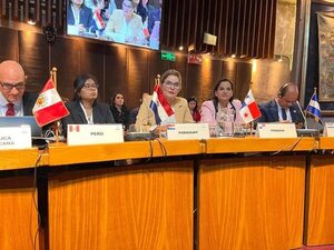 En evento sobre energía, embajadora habla de bajar 20% el uso de combustibles fósiles - Economía - ABC Color