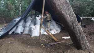 Millonarias pérdidas para narcos en Concepción que tenían 44 campamentos en propiedades privadas - Nacionales - ABC Color