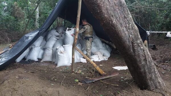 Millonarias pérdidas para narcos en Concepción que tenían 44 campamentos en propiedades privadas - Nacionales - ABC Color