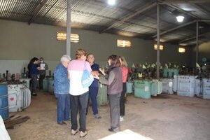 Organismo de NNUU analiza avance de eliminación de químicos - Economía - ABC Color