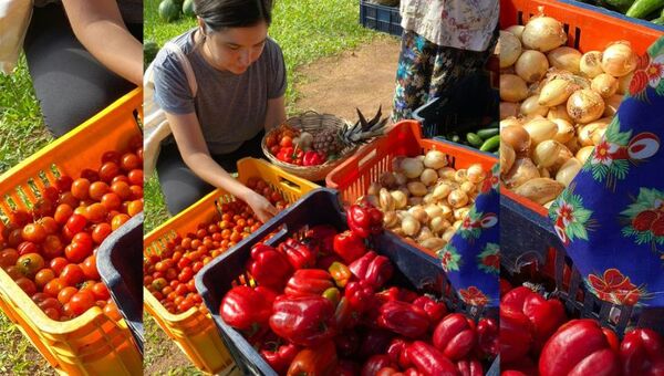 Rincón sin aditivos: Mercado Vy´a ofrece productos sin conservantes (y tiene clientes bien informados)