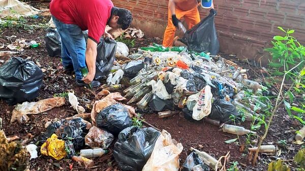 Advierten que el mayaro y DEN-3 aparecen como amenazas futuras