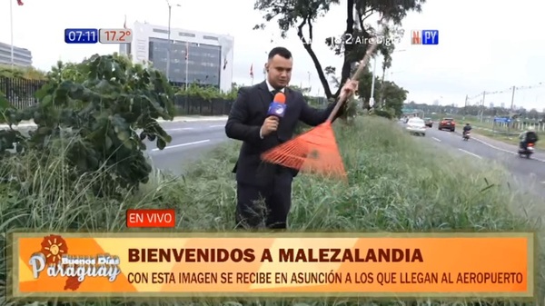 Malezas de casi un metro "ornamentan" la autopista Silvio Pettirossi - Noticias Paraguay