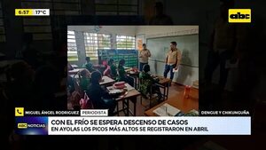 Video: Picos altos de casos de dengue y chikunguña - ABC Noticias - ABC Color