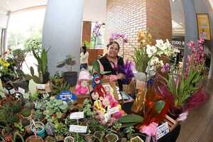 MAG y productores realizan feria de plantas y flores en el Shopping Multiplaza - .::Agencia IP::.