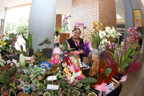 MAG y productores realizan feria de plantas y flores en el Shopping Multiplaza - .::Agencia IP::.