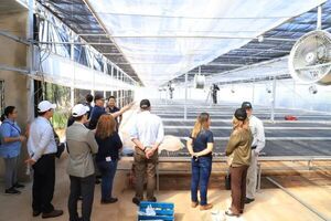 El MAG y Taiwán fortalecen la producción y comercialización de orquídeas - Informatepy.com