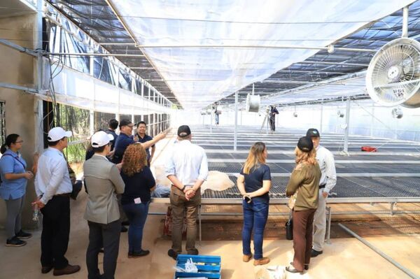 El MAG y Taiwán fortalecen la producción y comercialización de orquídeas - Informatepy.com