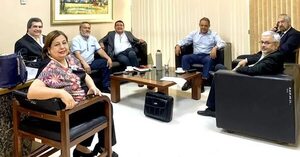 Senadora pide a Santi Peña no barrer con funcionarios públicos opositores - Política - ABC Color