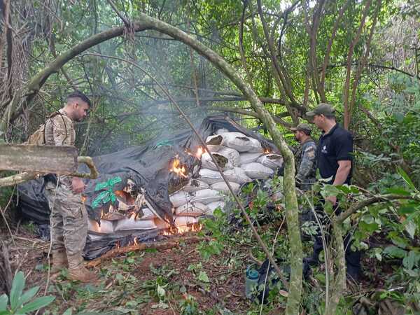 Senad incursiona en 109 campamentos narcos y saca de circulación 97 toneladas de marihuana - .::Agencia IP::.