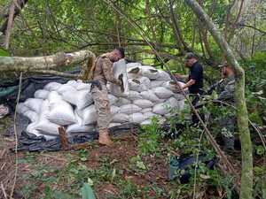 Diario HOY | Operativo antidroga en Yby Yaú deja pérdida de casi US$ 15 millones a traficantes