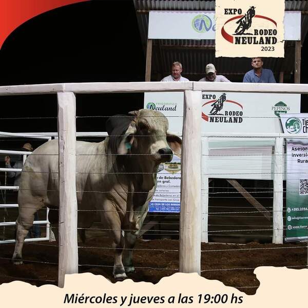 Gran remate de reproductores en el marco de la Expo Rodeo Neuland