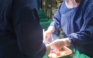 Apareció un ángel y permitió trasplante renal de Wilson