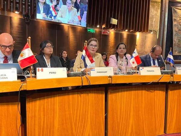 Exigen mayor involucramiento de academias científicas paraguayas en foros sobre desarrollo sostenible - Nacionales - ABC Color