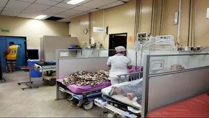 Décima Región Sanitaria recomienda atención médica urgente para los casos de chikungunya | DIARIO PRIMERA PLANA