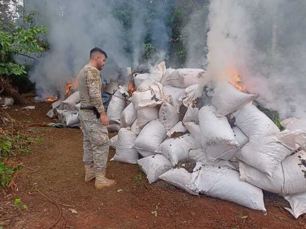 Más de 34 toneladas de droga fueron sacadas de circulación en Concepción | 1000 Noticias