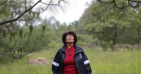 La Nación / Pasar tiempo al aire libre ayuda a los adultos mayores a mejorar la salud