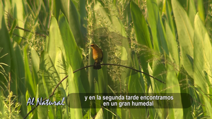 SNT Al Natural: Guyra Retã y su estación biológica Kanguery - SNT