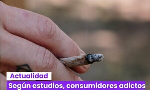 Según estudios, consumidores adictos de marihuana con fines recreativos, tienen más probabilidades de sufrir esquizofrenia.