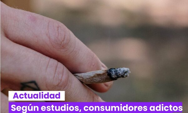 Según estudios, consumidores adictos  de marihuana con fines recreativos,  tienen más probabilidades de sufrir esquizofrenia.