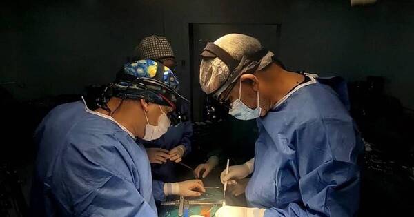 La Nación / Instituto de Cardiología realiza segundo trasplante de corazón en menos de 24 horas