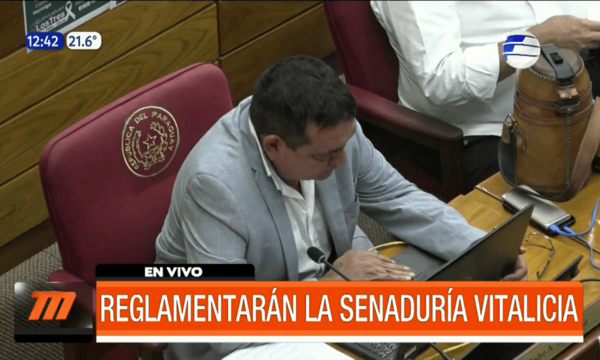 Reglamentarán la senaduría vitalicia | Telefuturo