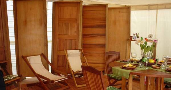 La Nación / Expo Madera: sector foresto-industrial, con interés de promocionarse en el exterior