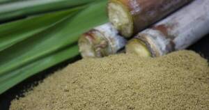 La Nación / Productores de azúcar orgánica destacan convenio con Taiwán porque abre nuevo mercado