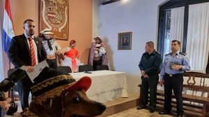 Perros se sumarán a las fiestas patrias