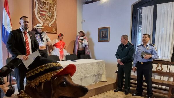 Perros se sumarán a las fiestas patrias
