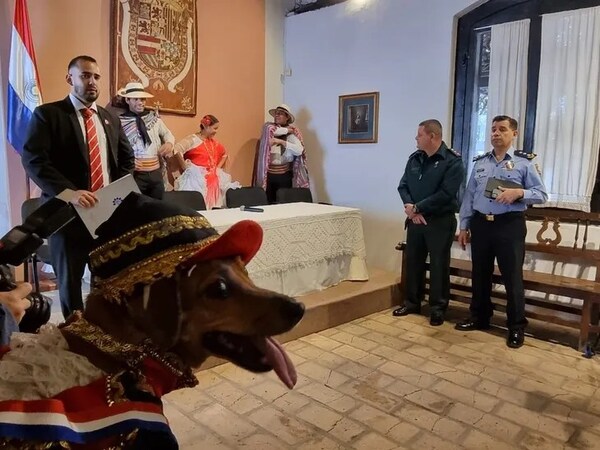 LAS MASCOTAS TAMBIÉN SERÁN PROTAGONISTAS DE LAS FIESTAS POR LA INDEPENDENCIA.