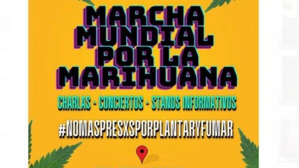 Hacen feria por legalización del consumo de marihuana